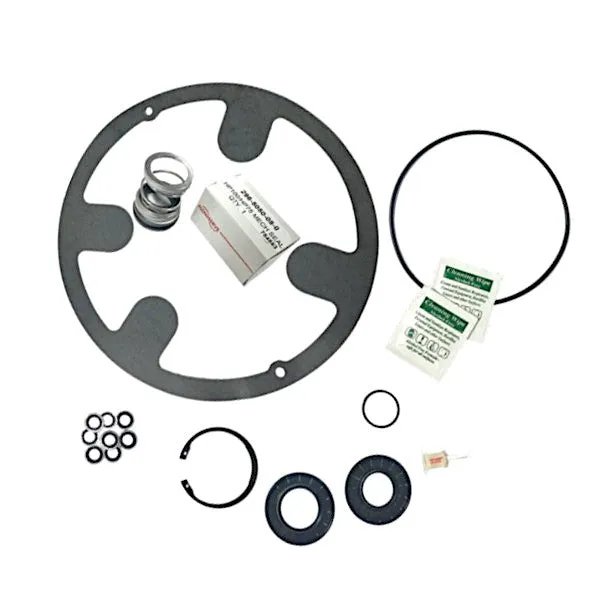 Hale Level-1 Rebuild Kit for HPX75-100 Pumps 546-6200-00-0